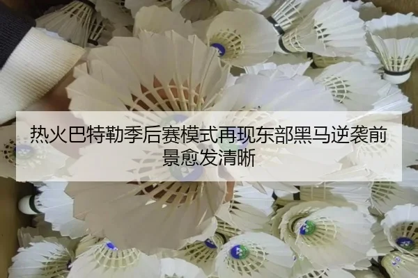热火巴特勒季后赛模式再现东部黑马逆袭前景愈发清晰